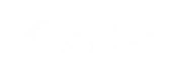 Brand Name : 